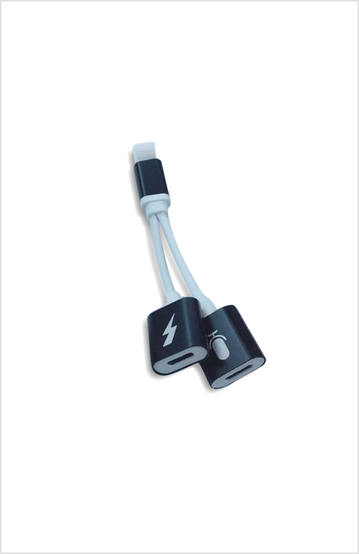 2 in 1 iPhone Charger/Headphones Set