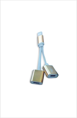 2 in 1 iPhone Charger/Headphones Set