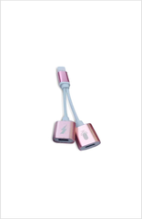 2 in 1 iPhone Charger/Headphones Set